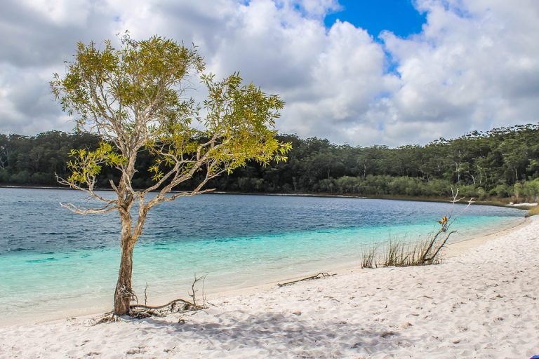 fraser island best time to visit